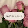hajpp7