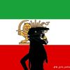 sheyda146