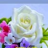 kisna7062