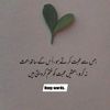 hayanoor124