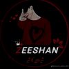 zeshanali1441