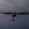 yung httyd