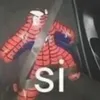 spidermonsio4