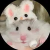 baongoc.cutephomaique