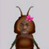 bntz_luap2