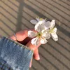 lilou_bcz