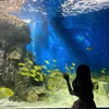 thao.nguyen9637