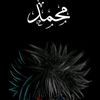 user9250619120282
