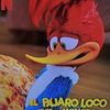 pajaro.loco402