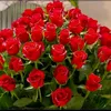 user2077017511047