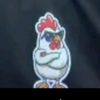 teampollo57