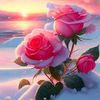 user5848172772703