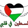 tawfik.371gafsaga