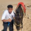 user3356015440243