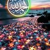 mokhleeshassan