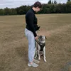 training.bowie