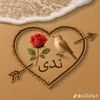 user75278427851490