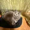 bella_prvt