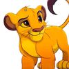 zimba1008