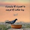 user4292733036720
