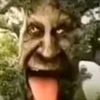 freakymysticaltree