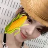 .shybrizandoo
