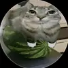 duduv79