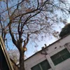 samy._.039