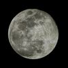 Moon Light