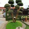 koyeng553