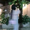 reoo060