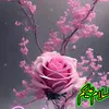 nma1802