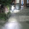 lut_selalu_setia