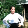 hongly.thaothi