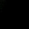 ei29dhnvmtorofjcj