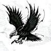 user262148174171