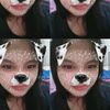 meiss_imoet