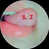 saima__gull0
