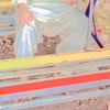 ghulam.mustafa.de