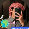 wajidahmad244