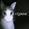 ilzix_ofc