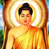 nguyenngocmannhi123
