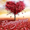 antonina50394