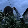 sashenk14