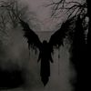 vind_187