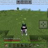 fimms_24