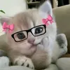 luvlxly_3