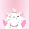 bondolloo_14