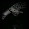 sharmin.aktar956
