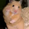 to62621